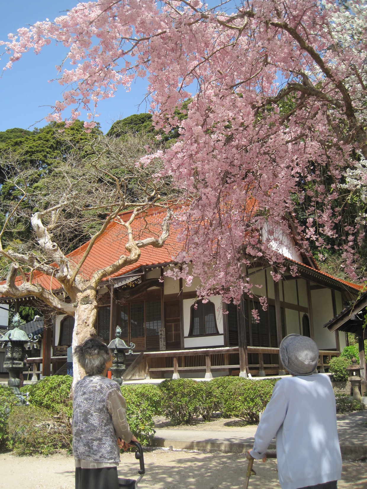 四季折々、地元を感じて頂くために、都度一緒にお出かけしています