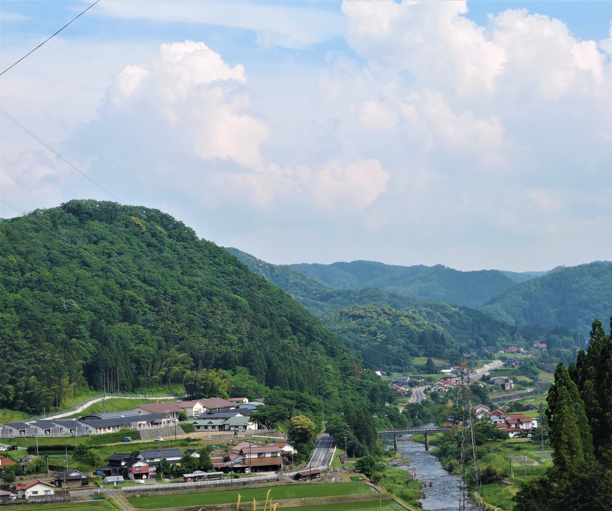 向かいの山から苑を望む