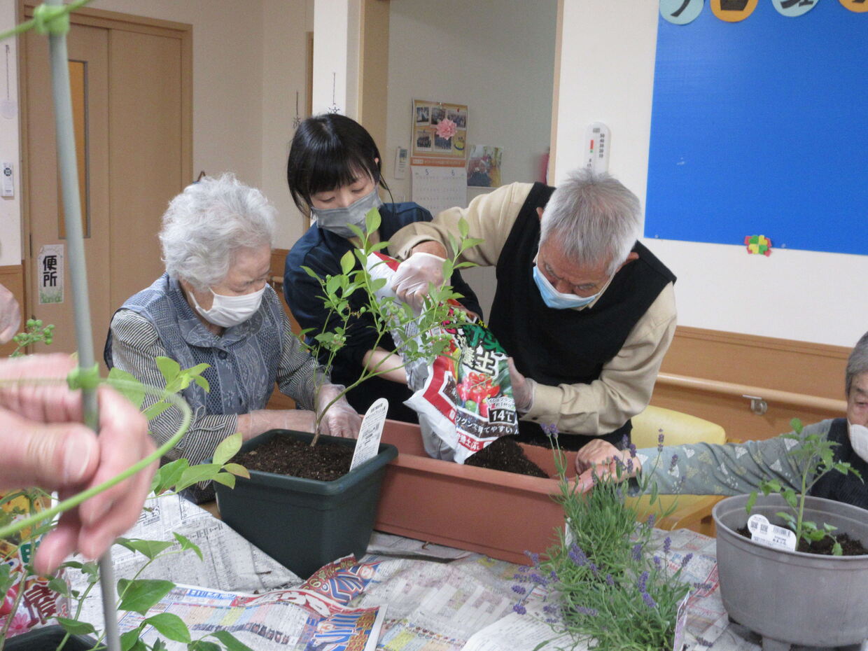 季節の花の寄せ植えづくり